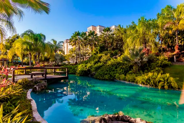 Treasure-Pointext-02-1